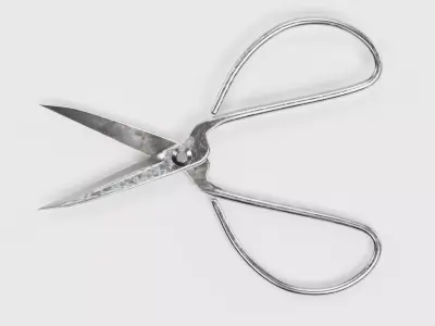 -Bonsai Scissors- 3D model