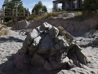  Medium Cracked Beach Rock Model  purchase