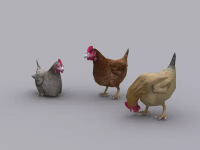 CHICKEN GAME READY ANIMATED MODEL Low-poly 3D model