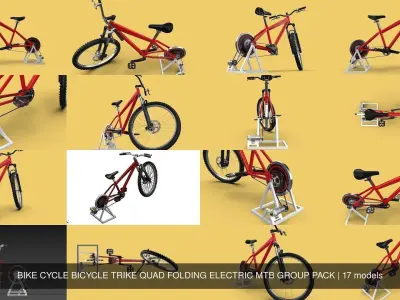 BIKE CYCLE BICYCLE TRIKE QUAD FOLDING ELECTRIC MTB GROUP PACK