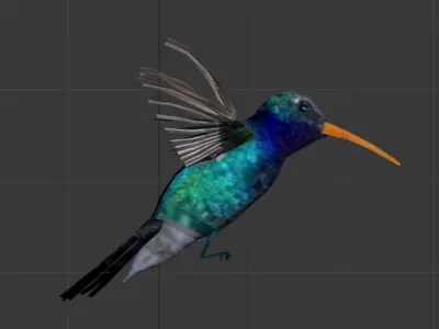 low poly bird animated Low-poly 3D model