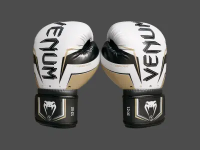 Boxing Punch Gloves White Venum Elite Evo 3D model