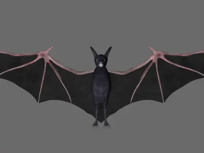 Bat with wings 2 Low-poly 3D model