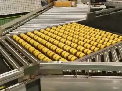 High-Speed Logistics Parcel Sorter - Balance Wheel Sorter 3D model