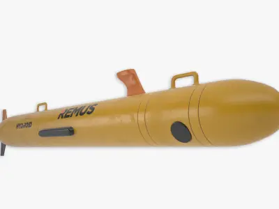 Remus 100 3D model