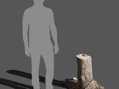  Medium Cut Bare Deciduous Stump Model 