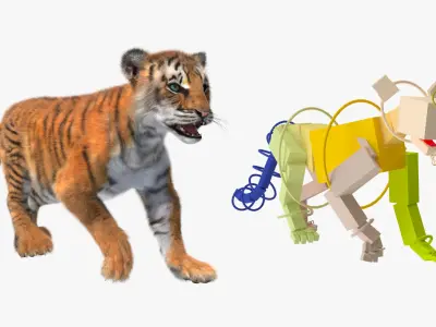 Tiger Cub Fur Rigged 3D model