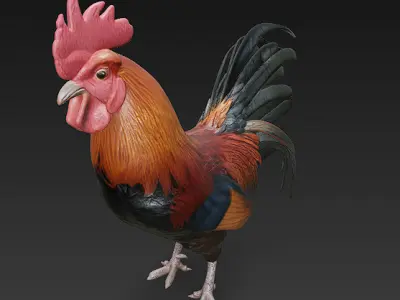 Black Rooster 3D Model Basic - Low Poly Simple Low-poly 3D model