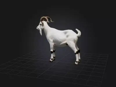 Realistic Goat Model Low-poly 3D model