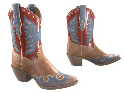 Eagle Star Cowboy Boots 3D model