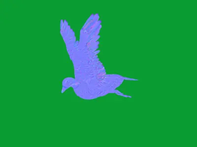 Emperor Goose Bird Low-poly 3D model