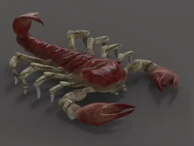 Scorpion Monster Low-poly 3D model