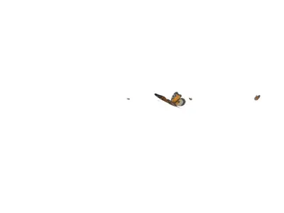 Butterflies looping animation  Low-poly 3D model