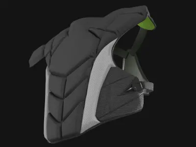  Catcher Chest Protector 
