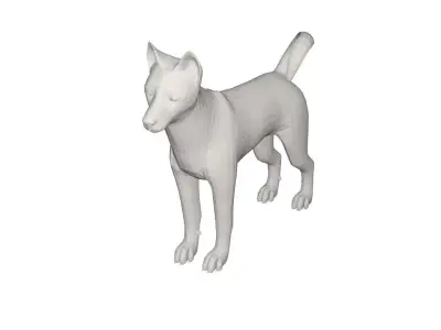 Husky chihuahua dog 3D model