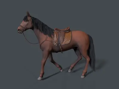 horse Low-poly 3D model 16