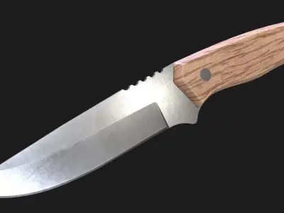 Kitchen Knife Wooden Handle Low-poly 3D model