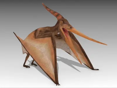 Pteranodon dinosaur Low-poly 3D model