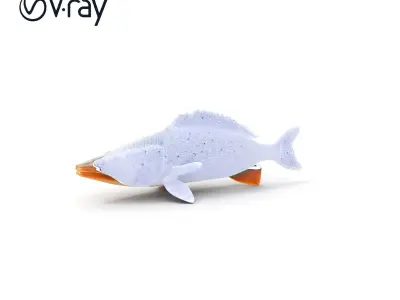 Realistic Fish Model Pack for Animation and Rendering Low-poly 3D model