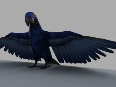 Parrot Rigged and Animated 3D model