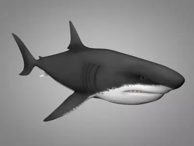Shark killer whale Low-poly 3D model