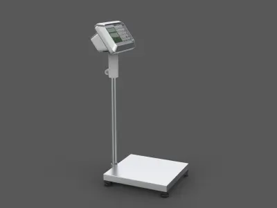Digital Platform Scale 3D model
