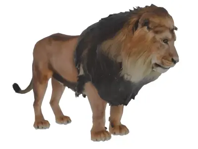 Lion Mammal Low-poly 3D model