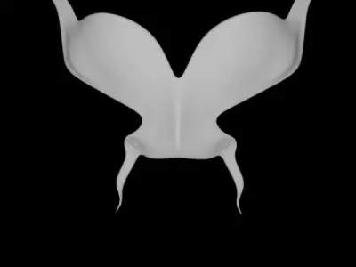 butterfly wings 3D model