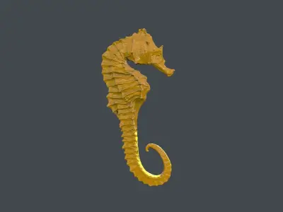SEAHORSE 3D model 4