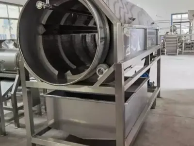 Rotary Vegetable and Fruit Drum Washing Machine  3D model