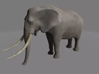 African Elephant Low-poly 3D model