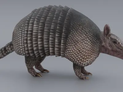 Armadillo Low-poly 3D model