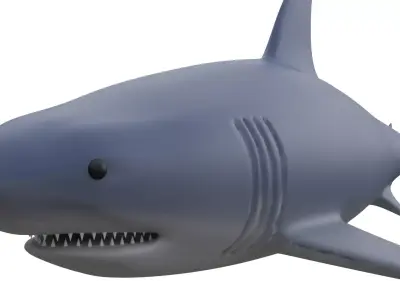 Shark 3D model buy