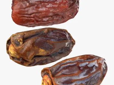 Date Collection 3D model