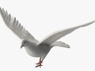  Lowpoly Dove Wings Extended White Rigged 