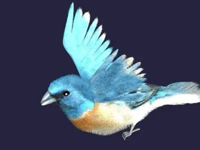 Utah Bird Low-poly 3D model