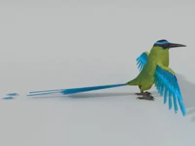 Barranquero Bird Low-poly 3D model
