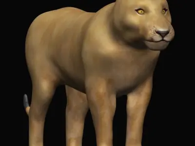 Lioness lion 3D model