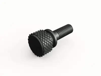 Screw 63 3D model