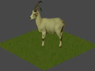 Modelo 3D Cabra para Blender 3D model