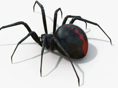 Black Widow Rigged Animated 8K PBR Textures 3D model