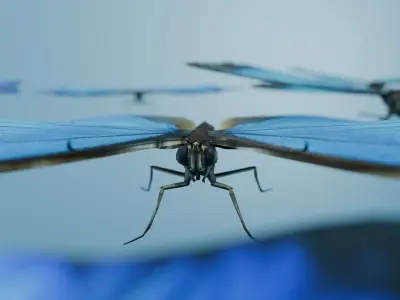 butterfly Low-poly 3D model 3