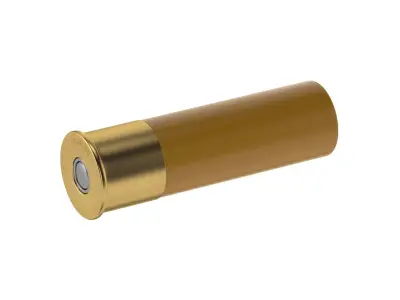 Bullet 10 GAUGE Low-poly 3D model