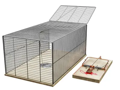 Rat Trap Pack Low-poly 3D model