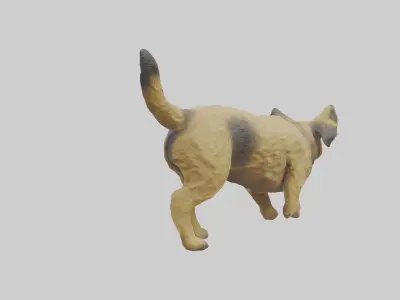 Border Terrier digging model 3D model