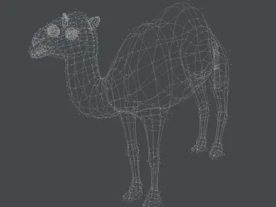 Camel 3D model