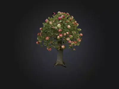 Apple Tree Low-poly 3D model purchase