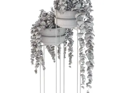 Metal Standing With Money Plant 3D model