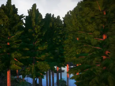 Japanese Endemic Species Plant - 4 Japanese false cypress Tree Low-poly 3D model