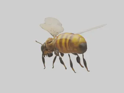 Honeybee flying model Low-poly 3D model